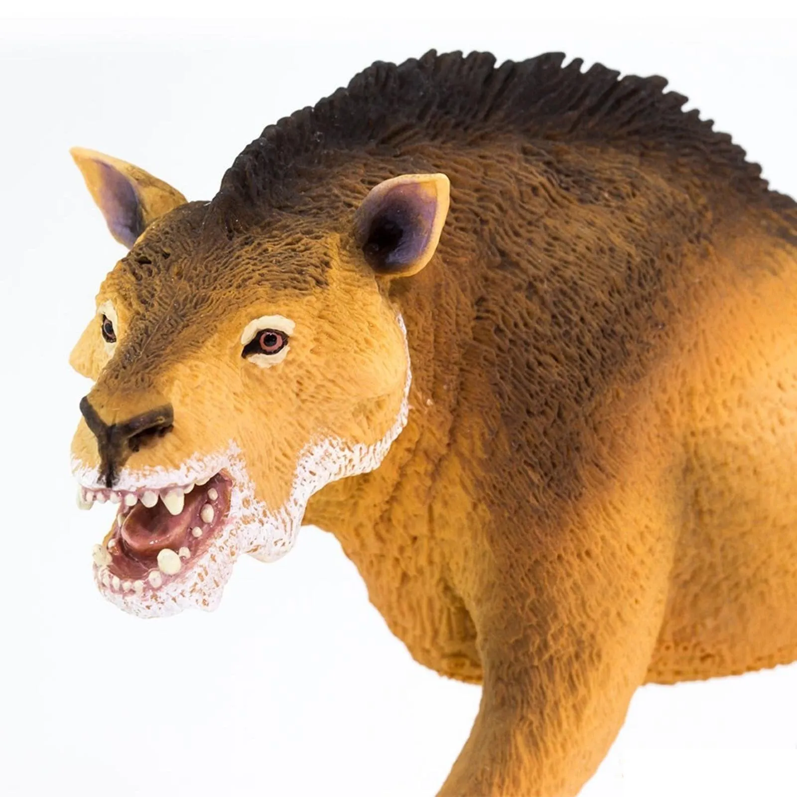 Daeodon Dinosaur Figure Safari Ltd