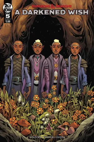 DUNGEONS & DRAGONS A DARKENED WISH #5 CVR A FOWLER