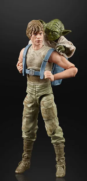 Hasbro Star Wars Black Series 40th Anniversary Empire Strikes Back Jedi Training Luke and Yoda Action Figure