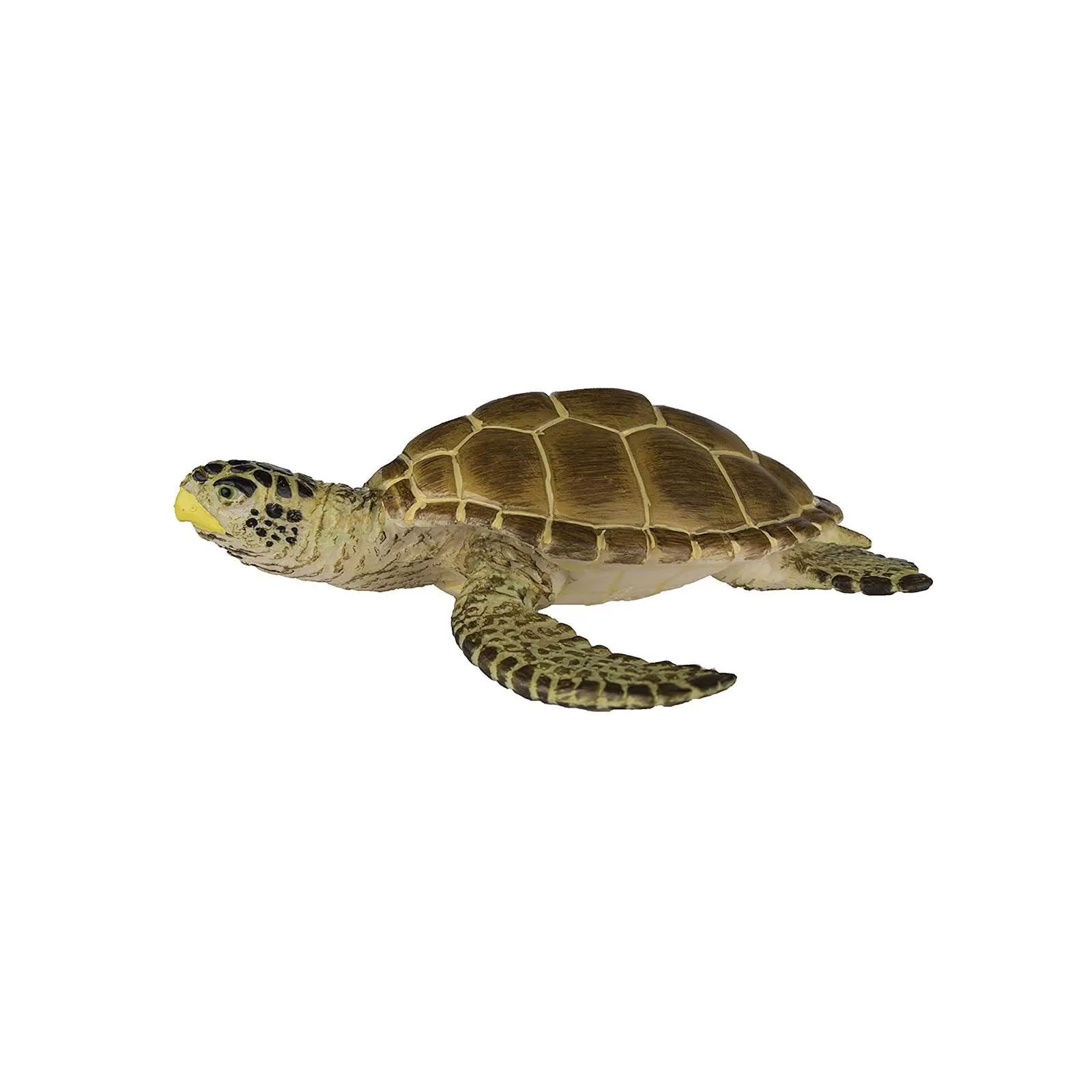 Loggerhead Turtle Wild Safari Animal Figure Safari Ltd