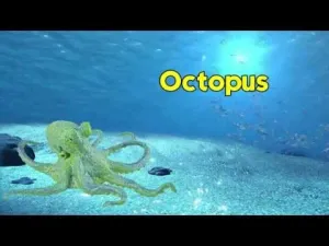 Octopus Figurine